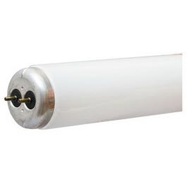 Fluorescent Tube, T12, Cool White, 1700 Lumens, 34-Watt, 48-In.