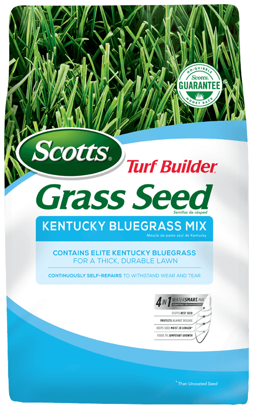 Scotts® Turf Builder® Grass Seed Kentucky Bluegrass Mix