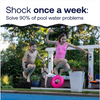 HTH® Pool Care Shock Ultra